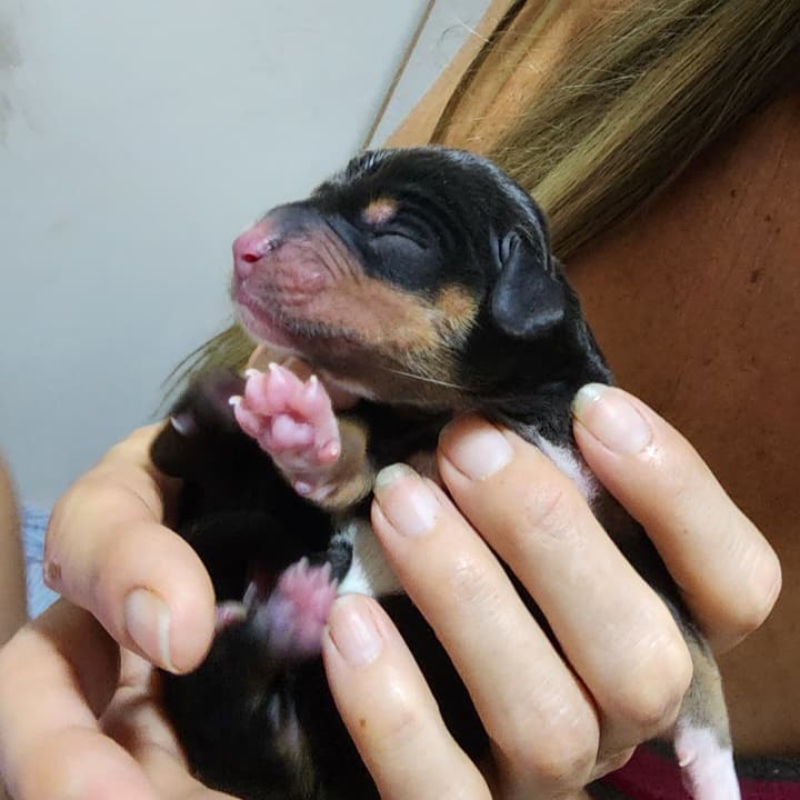 Foto dele assim que nasceu